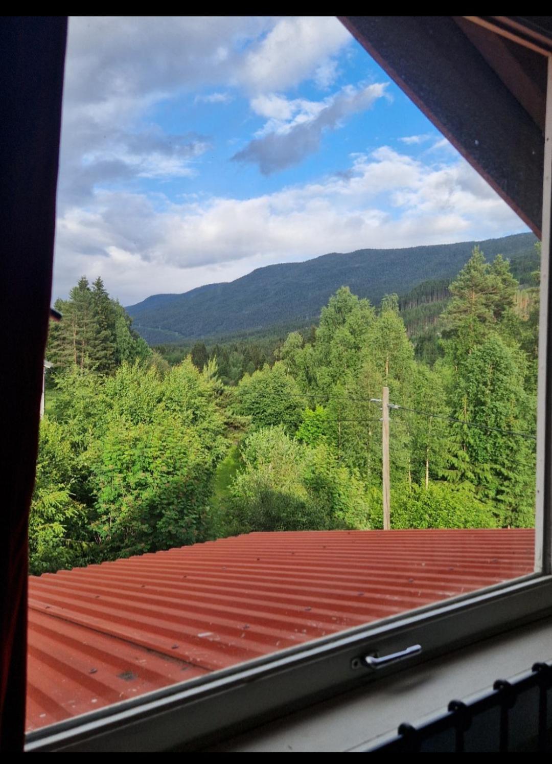 Holiday Rooms Гол Стая снимка